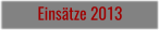 Einsätze 2013