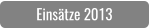 Einsätze 2013