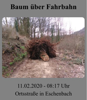 Baum über Fahrbahn 11.02.2020 - 08:17 Uhr Ortsstraße in Eschenbach
