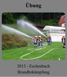 Übung 2013 - Eschenbach Brandbekämpfung