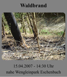 Waldbrand 15.04.2007 - 14:30 Uhr nahe Wengleinpark Eschenbach