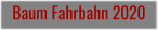 Baum Fahrbahn 2020