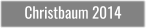 Christbaum 2014