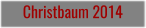 Christbaum 2014